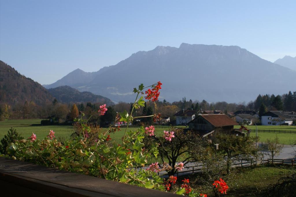 Alpenhof Landhotel Restaurant اوبرودورف الغرفة الصورة